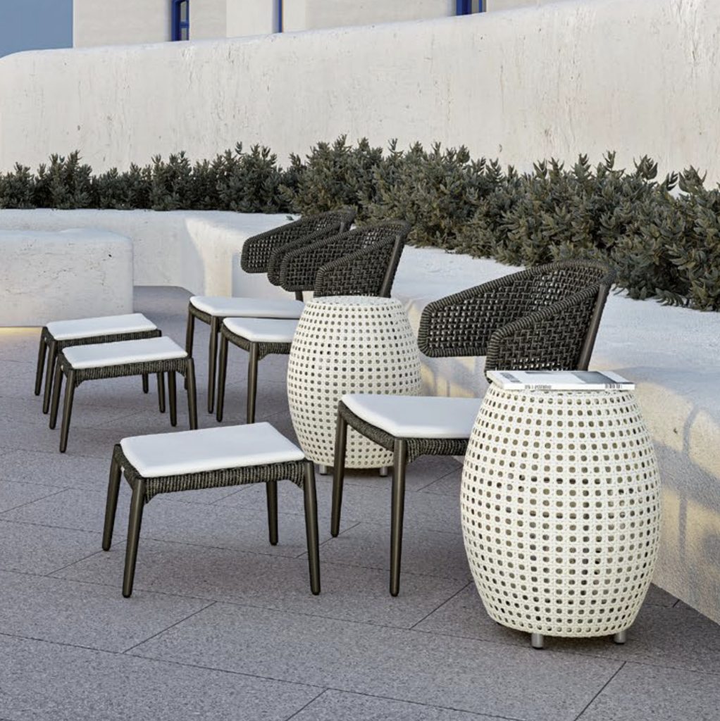 Janus et Cie
